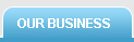 Our Business