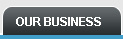 Our Business